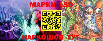 гидра Краснознаменск