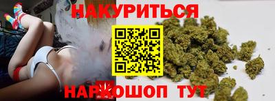 гидра Краснознаменск
