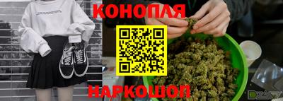 дживик Шелехов