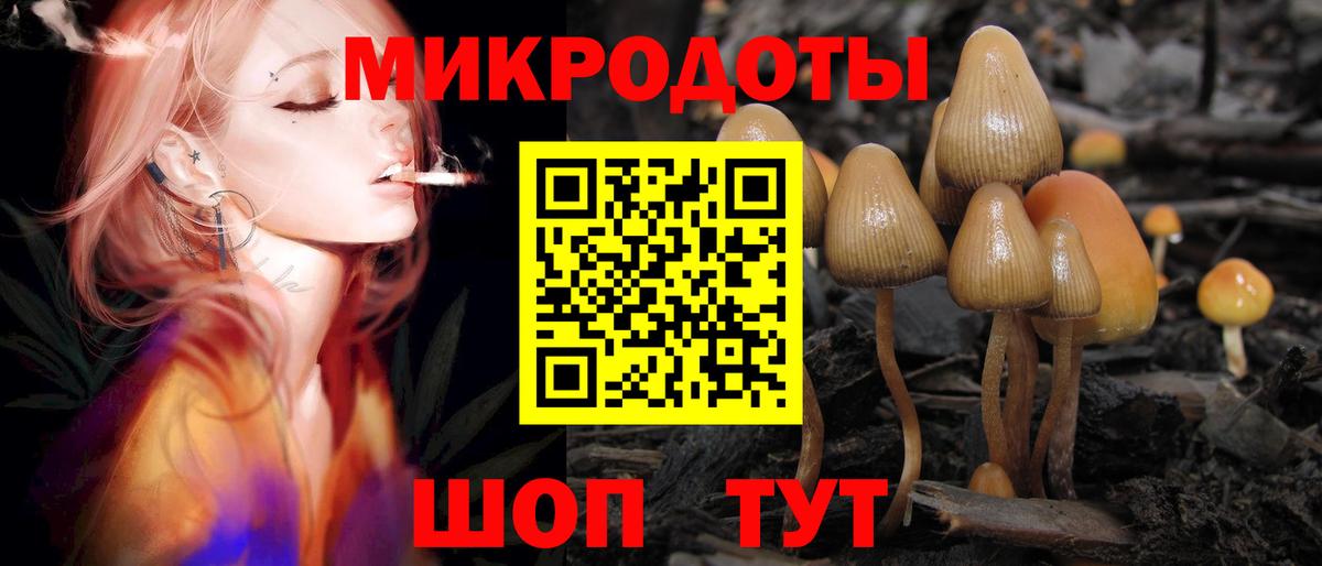 Галлюциногенные грибы MAGIC MUSHROOMS  Вход с VPN  Донской 
