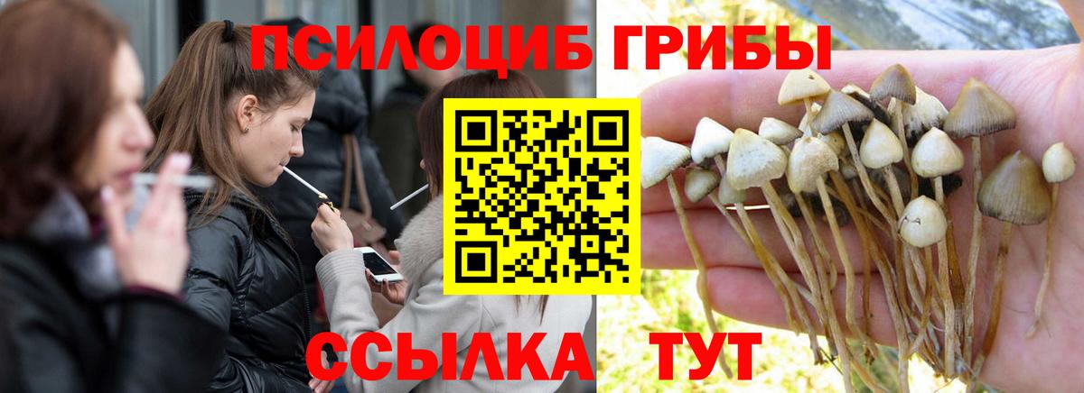 Галлюциногенные грибы GOLDEN TEACHER Донской