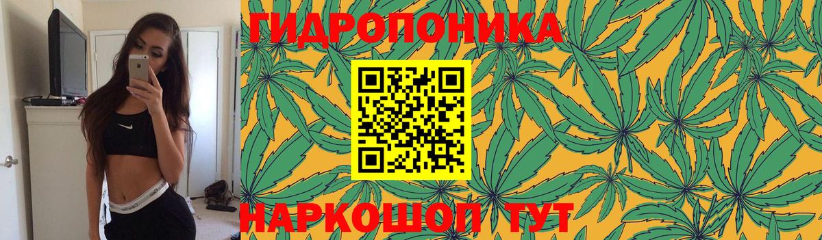Каннабис Amnesia Донской